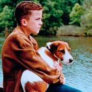 Mój przyjaciel, Skip - galeria zdjęć - filmweb