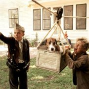Mój przyjaciel, Skip - galeria zdjęć - filmweb