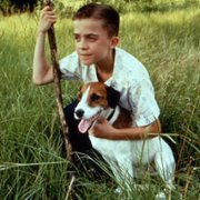 Mój przyjaciel, Skip - galeria zdjęć - filmweb
