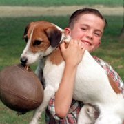 My Dog Skip - galeria zdjęć - filmweb