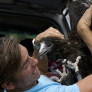 Long Weekend - galeria zdjęć - filmweb