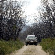 Long Weekend - galeria zdjęć - filmweb