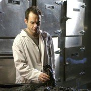 The Dresden Files - galeria zdjęć - filmweb