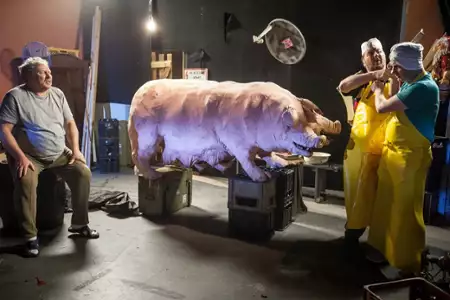 Świat według Kiepskich - galeria zdjęć - filmweb