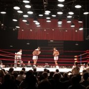 Pewnej nocy w Miami... - galeria zdjęć - filmweb