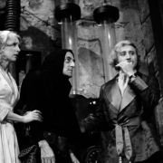 Young Frankenstein - galeria zdjęć - filmweb