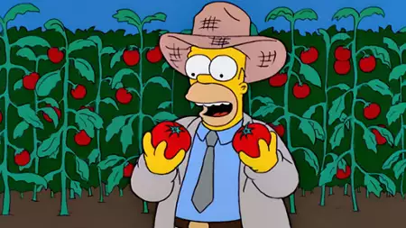 Simpsonowie - galeria zdjęć - filmweb