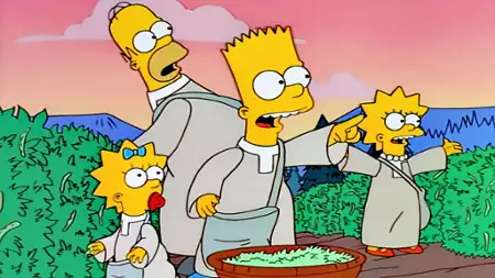 Simpsonowie - galeria zdjęć - filmweb