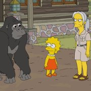 The Simpsons - galeria zdjęć - filmweb