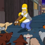 Dan Castellaneta w Simpsonowie