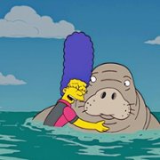 Simpsonowie - galeria zdjęć - filmweb