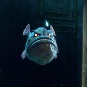 Magic Arch 3D - galeria zdjęć - filmweb