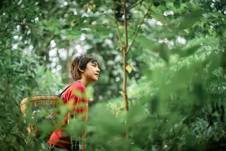 Moon: Panda i ja - galeria zdjęć - filmweb