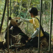 Moon: Panda i ja - galeria zdjęć - filmweb