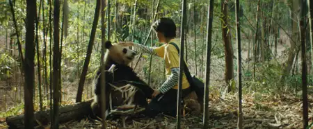 Moon: Panda i ja - galeria zdjęć - filmweb