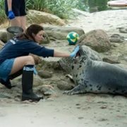 Matka&thinsp;fok - galeria zdjęć - filmweb