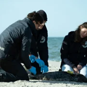 Matka&thinsp;fok - galeria zdjęć - filmweb