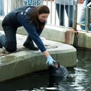 Matka&thinsp;fok - galeria zdjęć - filmweb