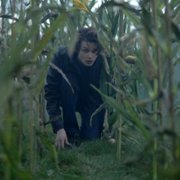 Miasteczko Wayward Pines - galeria zdjęć - filmweb