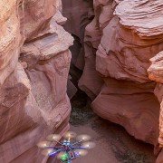 Planet Earth II - galeria zdjęć - filmweb