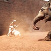 Jodhaa Akbar - galeria zdjęć - filmweb