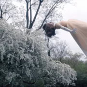 Lady in the Lake - galeria zdjęć - filmweb