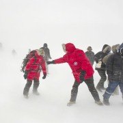 Frost - galeria zdjęć - filmweb