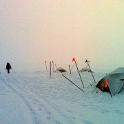 Frost - galeria zdjęć - filmweb