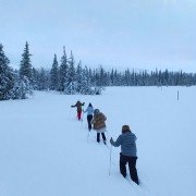 Svartsjön - galeria zdjęć - filmweb