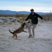 Dog - galeria zdjęć - filmweb