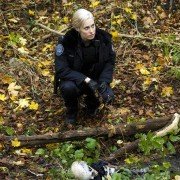 Nowe gliny - galeria zdjęć - filmweb