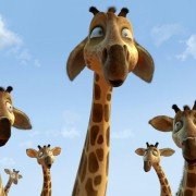 Zambezia - galeria zdjęć - filmweb