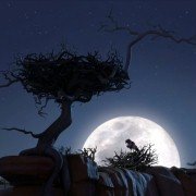 Zambezia - galeria zdjęć - filmweb