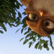 Zambezia - galeria zdjęć - filmweb