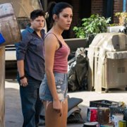 Vida - galeria zdjęć - filmweb
