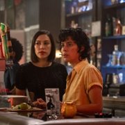 Vida - galeria zdjęć - filmweb