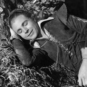 Sen nocy letniej - galeria zdjęć - filmweb