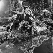 Sen nocy letniej - galeria zdjęć - filmweb