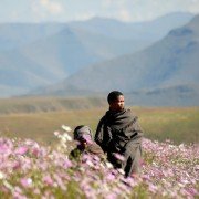 The Forgotten Kingdom - galeria zdjęć - filmweb