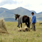 The Forgotten Kingdom - galeria zdjęć - filmweb