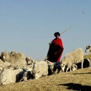 The Forgotten Kingdom - galeria zdjęć - filmweb