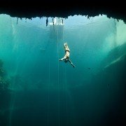 Dolphin Man - galeria zdjęć - filmweb