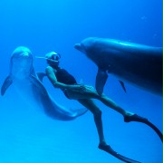 Człowiek delfin - galeria zdjęć - filmweb