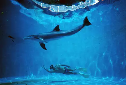 Człowiek delfin - galeria zdjęć - filmweb