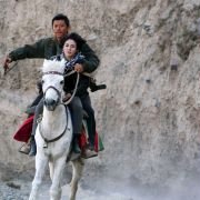Xi Feng Lie - galeria zdjęć - filmweb