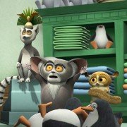 Pingwiny z Madagaskaru - galeria zdjęć - filmweb