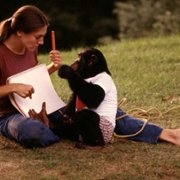 Project Nim - galeria zdjęć - filmweb