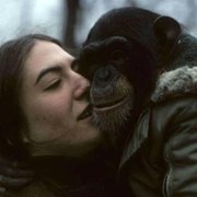 Project Nim - galeria zdjęć - filmweb