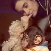 Project Nim - galeria zdjęć - filmweb