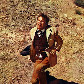 Dr Chester Lynne